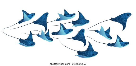 Devilfish marine animals, manta ray fishes, sea creatures set illustration. Blue teal eagle ray fishes, manta ray scuba. Eagle or devil fish group, underwater devilfish giant ocean animals.