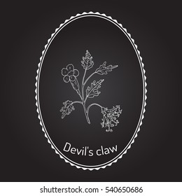 Devil's Claw (Harpagophytum procumbens), or grapple plant, wood spider. Hand drawn botanical vector illustration