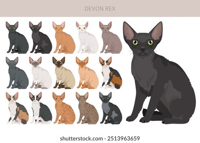 Devon Rex Cat Clipart. Alle Fellfarben eingestellt.  Alle Katze Rassen Merkmale Infografik. Vektorgrafik