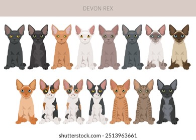 Devon Rex Cat Clipart. Alle Fellfarben eingestellt.  Alle Katze Rassen Merkmale Infografik. Vektorgrafik