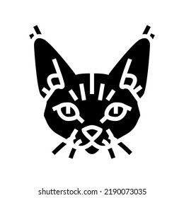 devon rex cat cute pet glyph icon vector. devon rex cat cute pet sign. isolated symbol illustration