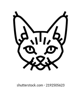 devon rex cat cute pet line icon vector. devon rex cat cute pet sign. isolated contour symbol black illustration