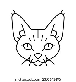 devon rex cat cute pet line icon vector. devon rex cat cute pet sign. isolated contour symbol black illustration