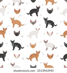 Devon Rex Cat seamless pattern. All coat colors set.  All cat breeds characteristics infographic. Vector illustration