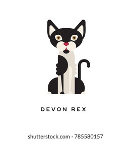 Devon rex, intelligent, short-haired cat. Feline with white and black fur, red nose, brown eyes and large ears. Domestic animal. Flat vector for vet clinic or zoo shop logo