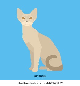 Devon rex, Isolated cat breed, Vector illustration