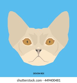 Devon rex, Isolated cat breed, Vector illustration