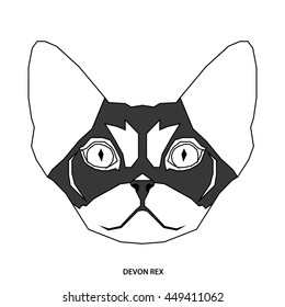 Devon rex, Isolated cat breed, Vector illustration