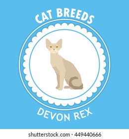 Devon rex, Isolated cat breed, Vector illustration