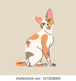 Devon Rex spotted cat isolated on beige background. Animal pet character vector illustration in flat style