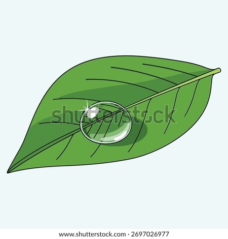 A dew drop on a green leaf, a symbol of nature, freshness, and environmental awareness	
