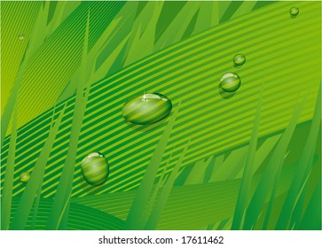 Dew drops on the blade of grass. Vector.