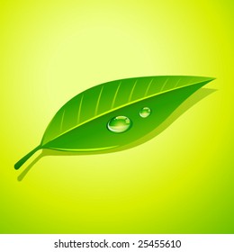 Dew drops on green leaf. Vector, no mesh.