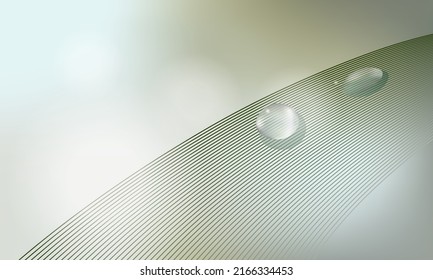 El excremento cae en una hoja sobre un fondo claro con bokeh. Se puede usar al crear un artículo sobre ecología y naturaleza.