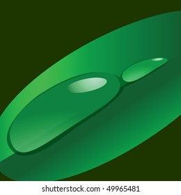 Dew drops on a leaf. Vector illustration