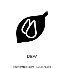 dew icon. dew symbol design from Weather collection. Simple element vector illustration on white background.