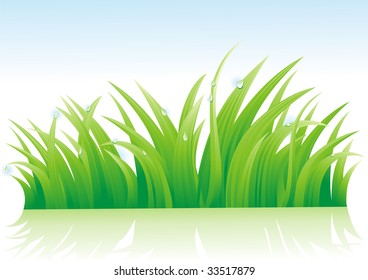 Dew on a grass. (vector illustration)