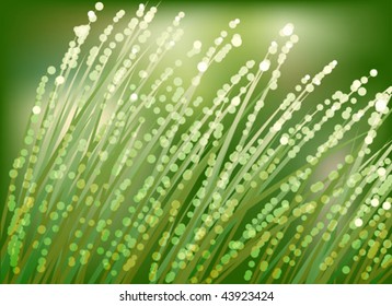 Dew on grass. Vector illustration