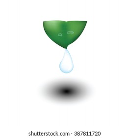 Dew on the leaf for your design