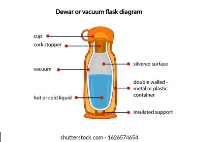 vacuum flask or Thermo flask diagram vector image 21669358 Vector Art at  Vecteezy