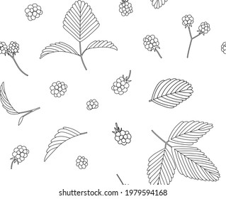 Dewberry, blackberry or black raspberry vector seamless pattern with branches, leaves and berries line hand drawn illustration. Isolated on white background.
