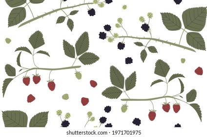 Dewberry, blackberry, raspberry vector seamless pattern with branches, leaves and berries color hand drawn illustration. Isolated on white background.