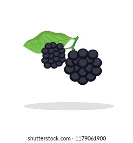 dewberry fruit vector illustration
