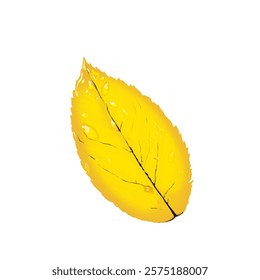 dewy yellow leaf icon without background