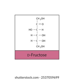 D-Fructose Skelett Struktur Diagramm.Ketose Verbindung Molekül wissenschaftliche Illustration.