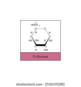 D-Glucose (Haworth projection) skeletal structure diagram.Sugar compound molecule scientific illustration.