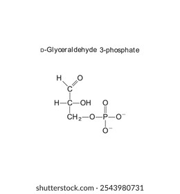 Diagrama de estrutura esquelética de 3-fosfato de D-gliceraldeído.Molécula orgânica molécula composta ilustração científica.