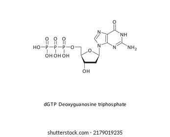 dGTP Deoxyguanosine triphosphate Nucleoside molecular structure on white background. DNA and RNA building block - nitrogenous base, sugar and phosphate.