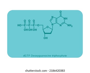 DGTP Deoxyguanosine Triphosphate Nucleoside Molecular Structure Diagram On White Background. DNA And RNA Building Block Consisting Of Nitrogenous Base, Sugar And Phosphate.