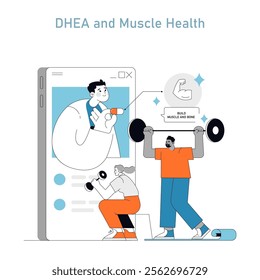 DHEA supplement concept. Digital illustration displaying the benefits of DHEA for muscle health and bone strength through exercise. Vector illustration.