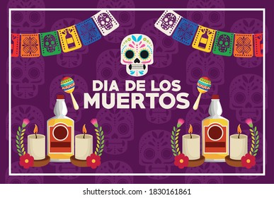 dia de los muertos celebration poster with skull and tequila bottles vector illustration design