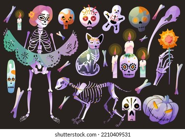 Dia de los muertos. Day of the dead. Female skeleton character.  Skeleton of cat, heads skulls, candle, pumpkins. Big set of halloween stuff. Vector cartoon illustrations