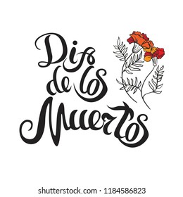 dia de muertos hand drawing lettering and marigold for day of death