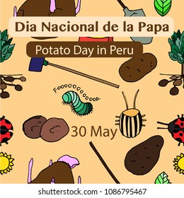 Dia Nacional de la Papa translation Potato Day in Peru. May 30. Potato background. Vector illustration.