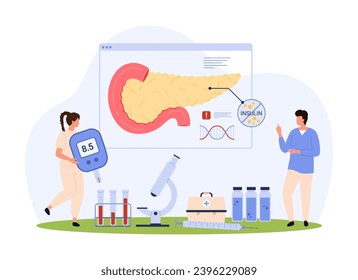 Diabetes tipo 1 y 2, diagnóstico de la ilustración vectorial endocrinológica. Pequeñas personas caricaturizadas investigan patología del páncreas y receptores de insulina en anatomía infográfica, sosteniendo glucómetro