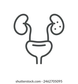 Diabetic Nephropathy Icon. Vector Line Illustration of Kidneys and Bladder, Kidney Disease Caused by Diabetes, Deterioration of Kidney Function. Isolated Outline Medical Sign.