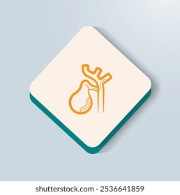 Diagnosing Gallbladder Polyps What You Need to Know for Early Detection