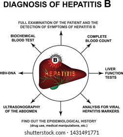 Diagnosis of hepatitis B. World Hepatitis Day. Infographics. Vector illustration on isolated background.