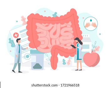 Diagnosis and treatment of the bowel: intestinal inflammation, enteritis, colitis, dysbacteriosis. Intestine health. Medical concept with tiny people. Flat vector illustration.