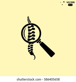 diagnostics spine