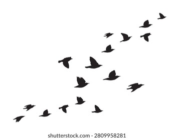 Diagonal flock of flying birds vector silhouette. Black migrating wild birds path line graphic for background design elements.