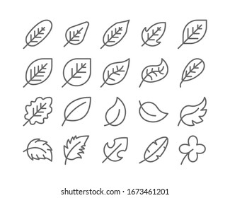 Diagonal Leaf Outline line Icon Set Autumn fall and Spring Concept Minimal Style Illustration Vector EPS 10.