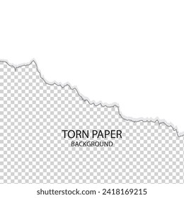 diagonal torn paper edge. Ripped squared horizontal white paper strips. Vector illustration