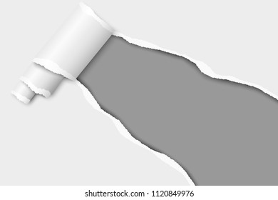 Diagonally snatched middle of white paper with paper curl and gray background of resulting hole. Vector template paper design.