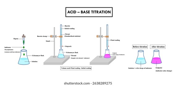 Diagram of Acid-Base titration.Laboratory experiment for chemistry or sciences.Phenolphthalein indicator.erlenmeyer flask, pipette and glass burette.Quantitative chemical analysis.Vector illustration.