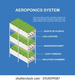 Diagram of the aeroponic setup for vertical cultivation. Isometric illustration, infographics.